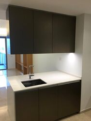 Cairnhill Nine (D9), Apartment #274545791
